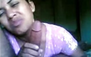 Indian desi bitch blowjob with the addition of fucking